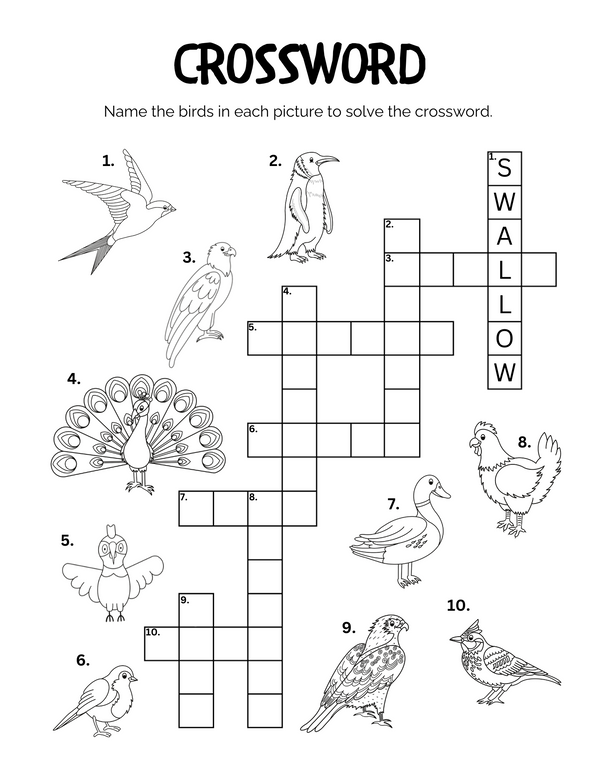 My Family Activity Book